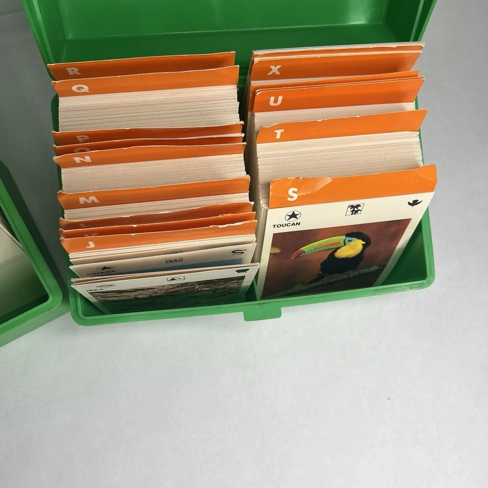 Vintage Illustrated Wildlife Treasury Set - NEAR MINT Cards & Prehistoric